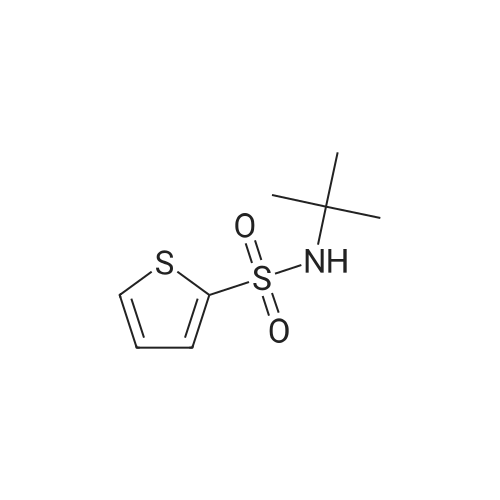 N-tert-Butyl-2-thiophenesulfonamide