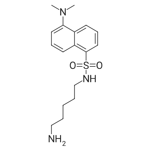 N-(5-Aminopentyl)-5-(dimethylamino)naphthalene-1-sulfonamide
