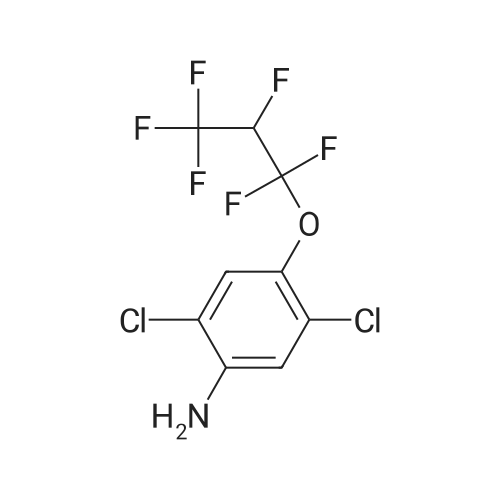 2,5-Dichloro-4-(1,1,2,3,3,3-hexafluoropropoxy)aniline