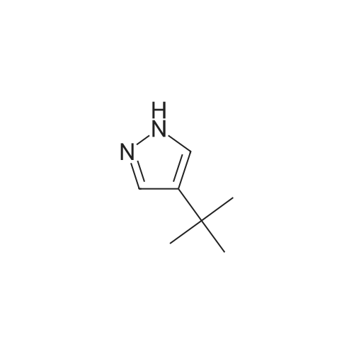 4-(tert-Butyl)-1H-pyrazole