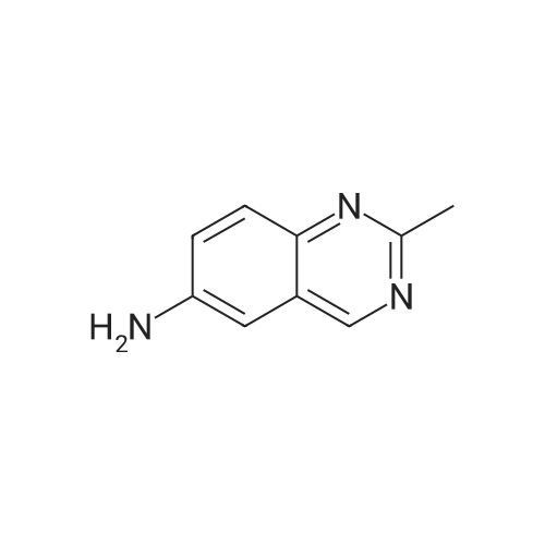 1056566-65-4 2-Methylquinazolin-6-amine
