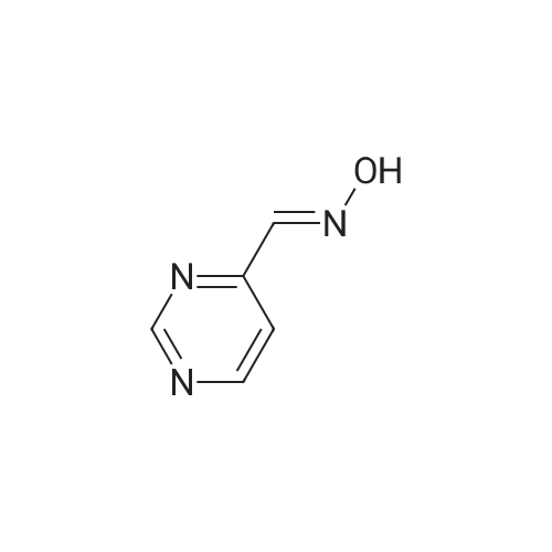 1073-65-0 Pyrimidine-4-carbaldehyde oxime