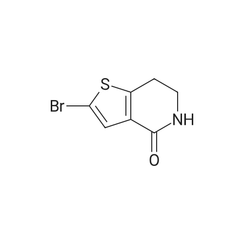 2-Bromo-6,7-dihydrothieno[3,2-c]pyridin-4(5H)-one