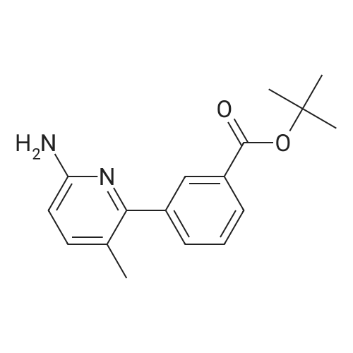 tert-Butyl 3-(6-amino-3-methylpyridin-2-yl)benzoate