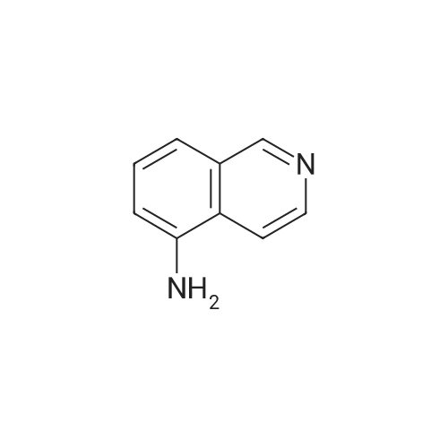 Isoquinolin-5-amine