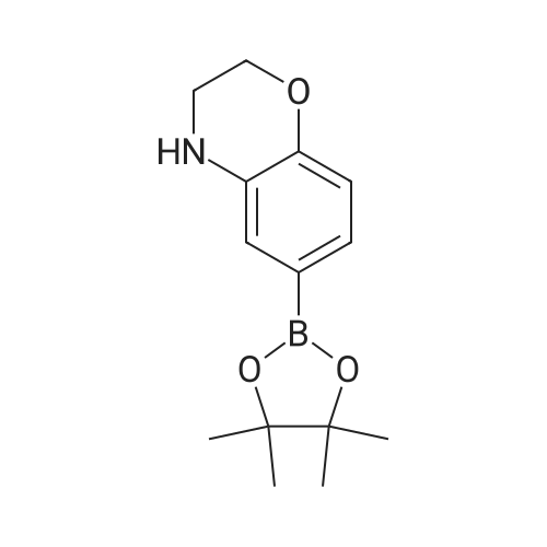 6-(4,4,5,5-Tetramethyl-1,3,2-dioxaborolan-2-yl)-3,4-dihydro-2H-benzo[b][1,4]oxazine