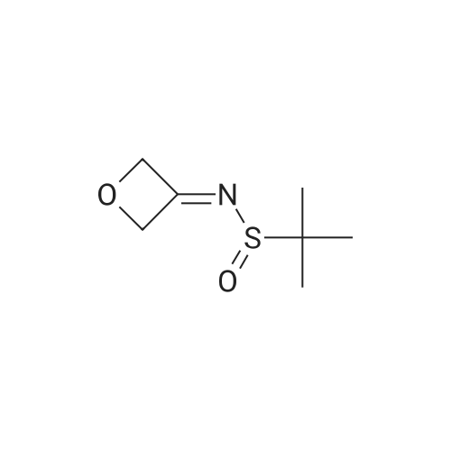 1158098-73-7 2-Methyl-N-(oxetan-3-ylidene)propane-2-sulfinamide