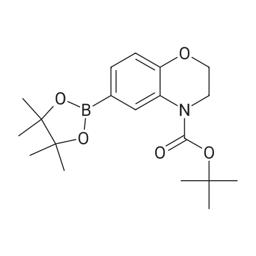 tert-Butyl 6-(4,4,5,5-tetramethyl-1,3,2-dioxaborolan-2-yl)-2H-benzo[b][1,4]oxazine-4(3H)-carboxylate