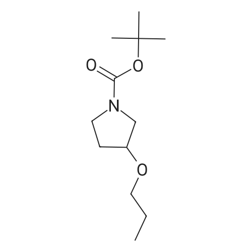 tert-Butyl 3-propoxypyrrolidine-1-carboxylate