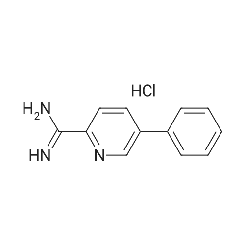5-Phenylpicolinimidamide hydrochloride