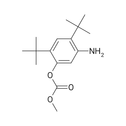 1182822-31-6|5-Amino-2,4-di-tert-butylphenyl methyl carbonate