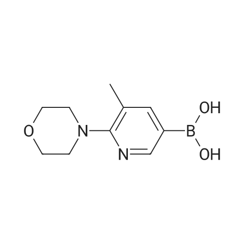 1191062-85-7 (5-Methyl-6-morpholinopyridin-3-yl)boronic acid