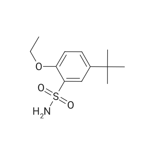 5-(tert-Butyl)-2-ethoxybenzenesulfonamide
