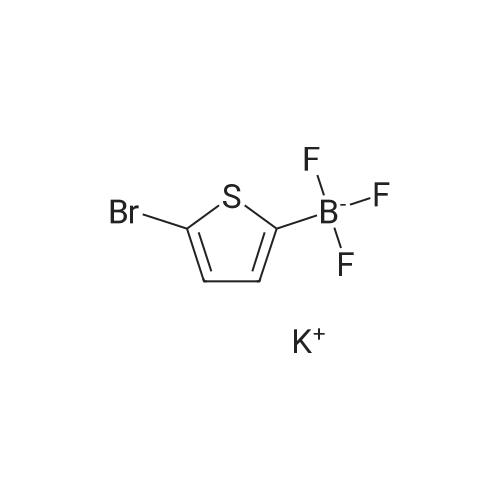 1239370-98-9 Potassium (5-bromothiophen-2-yl)trifluoroborate