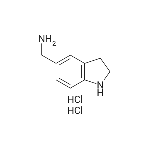 1242338-94-8 Indolin-5-ylmethanamine dihydrochloride