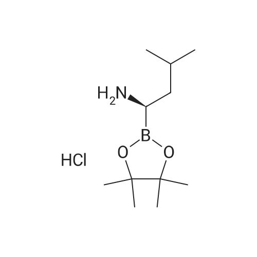 (R)-3-Methyl-1-(4,4,5,5-tetramethyl-1,3,2-dioxaborolan-2-yl)butan-1-amine hydrochloride