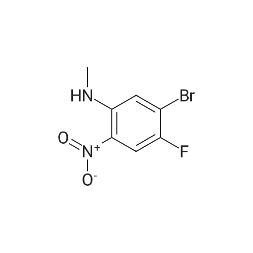 (5-Bromo-4-fluoro-2-nitro-phenyl)-methyl-amine