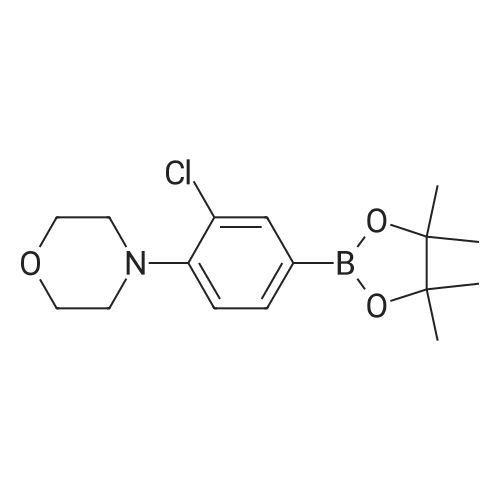 3-Chloro-4-morpholinophenylboronic Acid Pinacol Ester