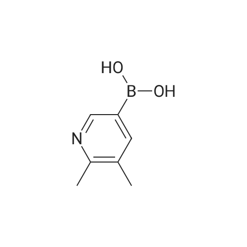 (5,6-Dimethylpyridin-3-yl)boronic acid