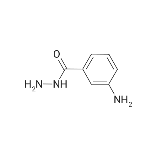14062-34-1 3-Aminobenzohydrazide