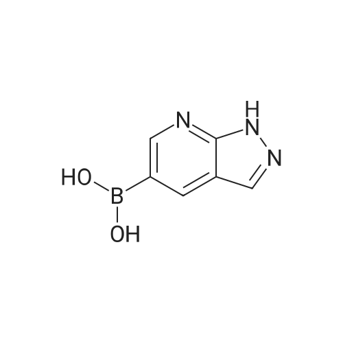(1H-Pyrazolo[3,4-b]pyridin-5-yl)boronic acid