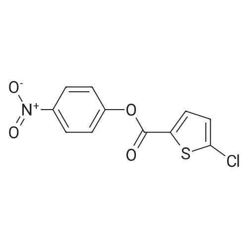 1450877-56-1 4-Nitrophenyl 5-chlorothiophene-2-carboxylate