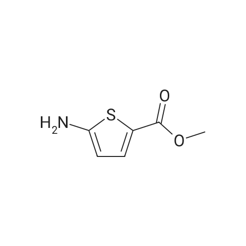 Methyl 5-aminothiophene-2-carboxylate