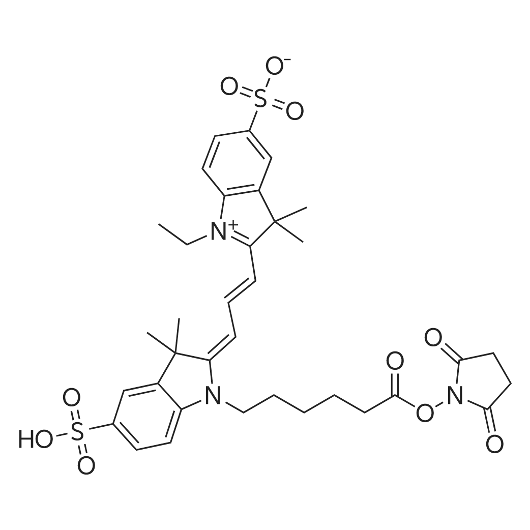 2-(3-(1-(6-((2,5-Dioxopyrrolidin-1-yl)oxy)-6-oxohexyl)-3,3-dimethyl-5-sulfoindolin-2-ylidene)prop-1-