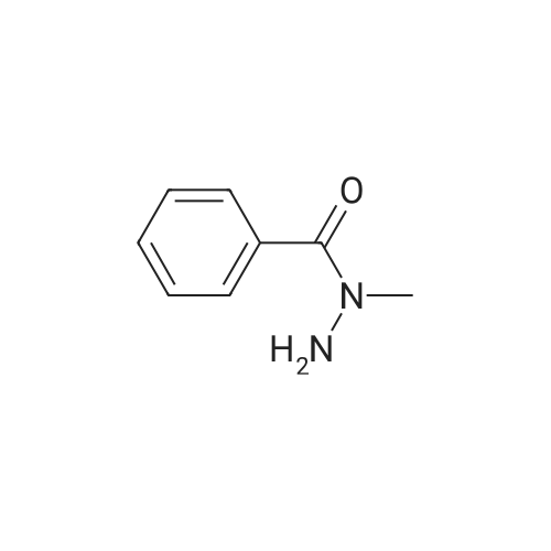 1483-24-5|N-Methylbenzohydrazide