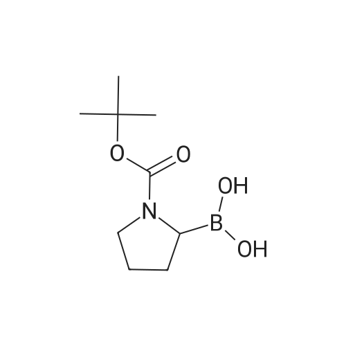 1-N-Boc-Pyrrolidin-2-ylboronic acid