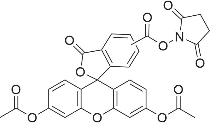 5(6)-Carboxyfluorescein diacetate succinimidyl ester