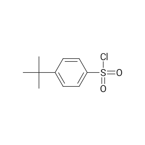 15084-51-2 4-tert-Butylbenzenesulfonyl chloride