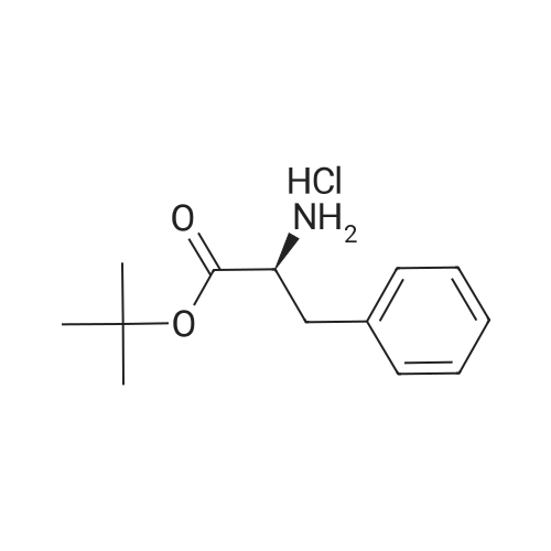 H-Phe-OtBu.HCl
