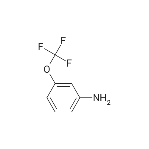 3-Trifluoromethoxyaniline