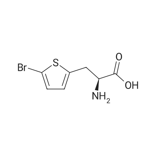 (S)-2-Amino-3-(5-bromothiophen-2-yl)propanoic acid