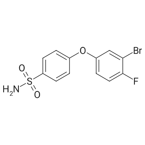 4-(3-Bromo-4-fluorophenoxy)benzenesulfonamide