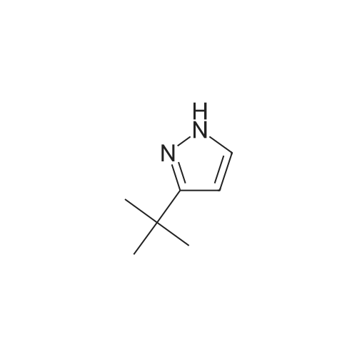 3-(tert-Butyl)pyrazole