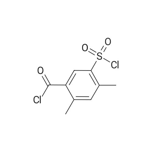 1601933-16-7 5-(Chlorosulfonyl)-2,4-dimethylbenzoyl chloride