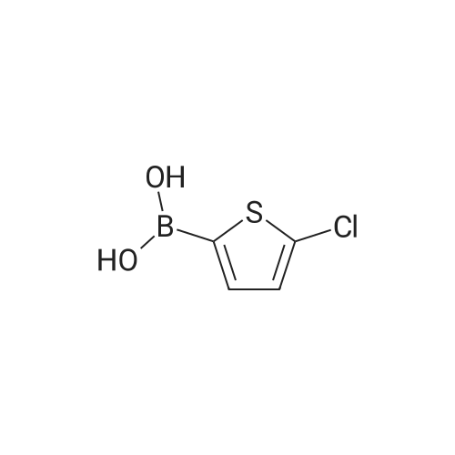 (5-Chlorothiophen-2-yl)boronic acid