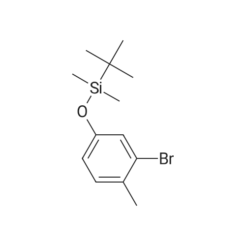 (3-Bromo-4-methylphenoxy)(tert-butyl)dimethylsilane