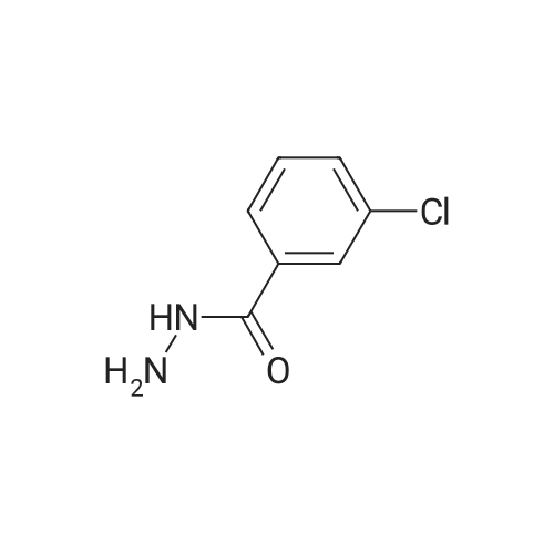 3-Chlorobenzhydrazide
