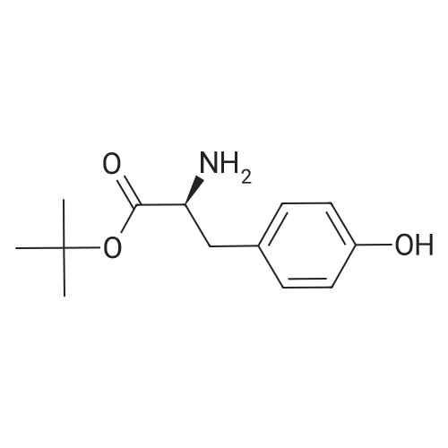 H-Tyr-OtBu