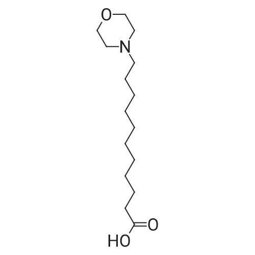 173390-53-9 11-Morpholinoundecanoic acid