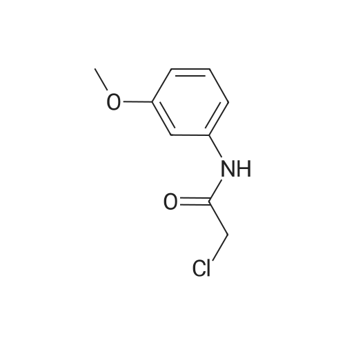 2-Chloro-N-(3-methoxyphenyl)acetamide