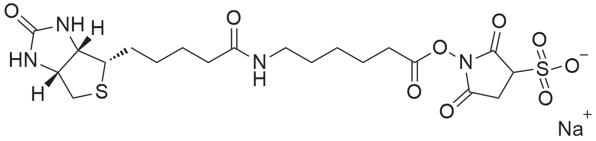 Sodium 2,5-dioxo-1-((6-(5-((3aS,4S,6aR)-2-oxohexahydro-1H-thieno[3,4-d]imidazol-4-yl)pentanamido)hex