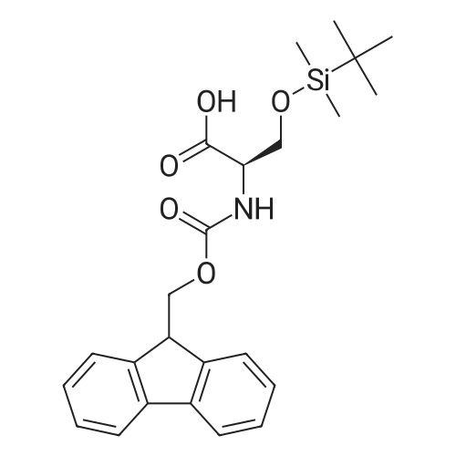 (R)-2-((((9H-Fluoren-9-yl)methoxy)carbonyl)amino)-3-((tert-butyldimethylsilyl)oxy)propanoic acid