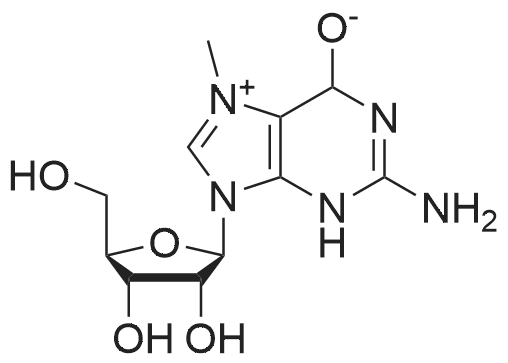 7-Methylguanosine