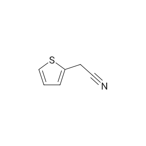 20893-30-5 2-(Thiophen-2-yl)acetonitrile