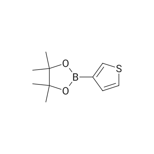 Thiophene-3-boronic acid, pinacol ester