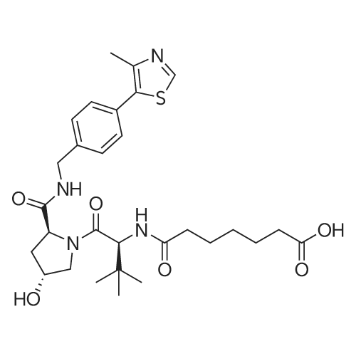 7-(((S)-1-((2S,4R)-4-Hydroxy-2-((4-(4-methylthiazol-5-yl)benzyl)carbamoyl)pyrrolidin-1-yl)-3,3-dimet